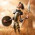 Dom Quixote Volumes I e II – Miguel de Cervantes